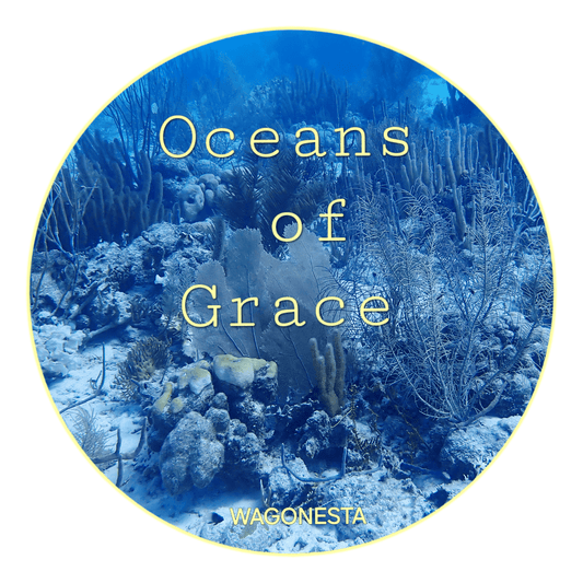 FAITH - OCEANS OF GRACE - Unisex Fitted T - Shirt