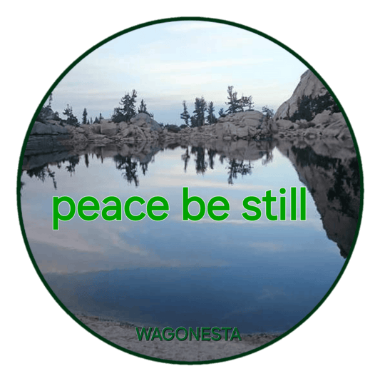 FAITH - peace be still - Unisex Fitted T-Shirt - Next Level 6210