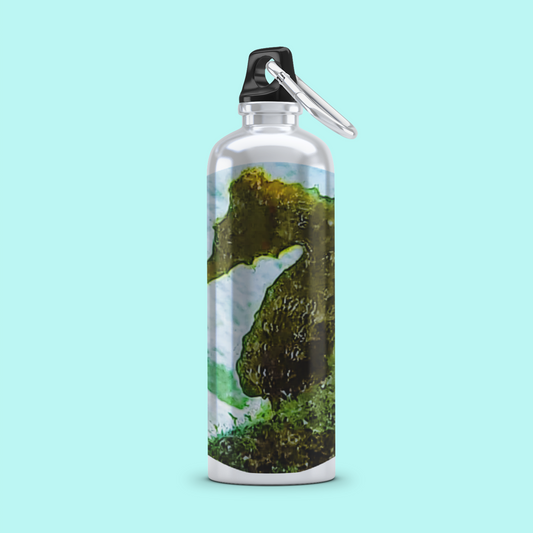 20 oz SS Water Bottle Stainless Steel - Wagonesta - Seahorse