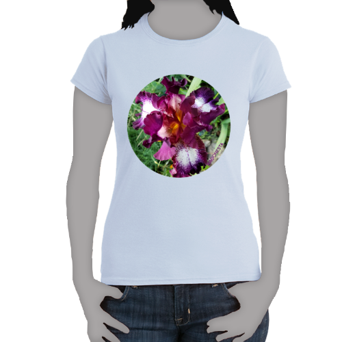 Variegated Iris- Women's Softstyle Tee - Gildan+ Mug 'n Tee