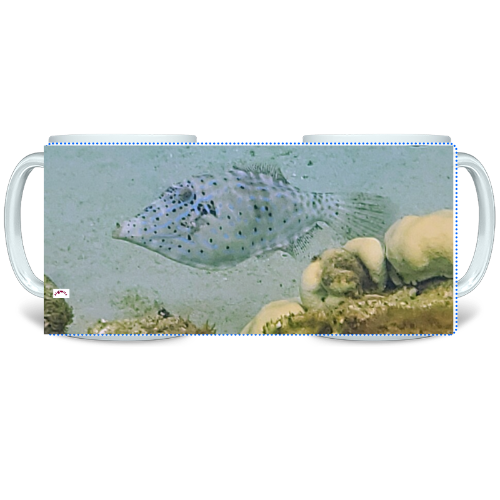11 oz Ceramic Mug - Wagonesta - Blue Fish