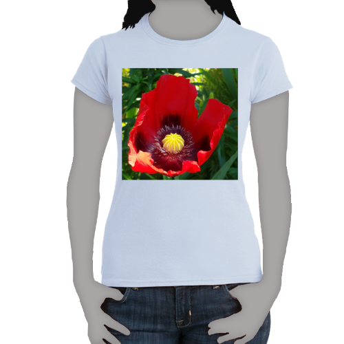 Poppies - Women's Softstyle Tee - Gildan + Mug 'n Tee