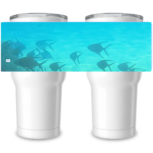 30 oz Insulated Steel Tumbler - Wagonesta - School of Fish