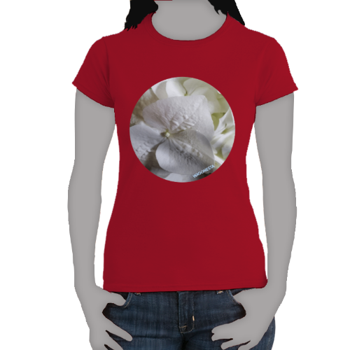 White Lacy Hydrangea- Women's Softstyle Tee - Gildan -Mug-'n Tee
