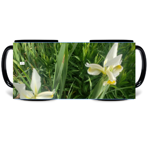 11 oz Black Mug - Wagonesta - White Iris