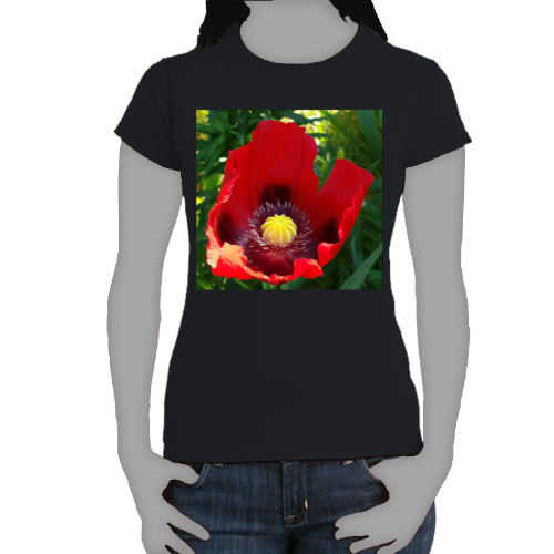 Poppies - Women's Softstyle Tee - Gildan + Mug 'n Tee