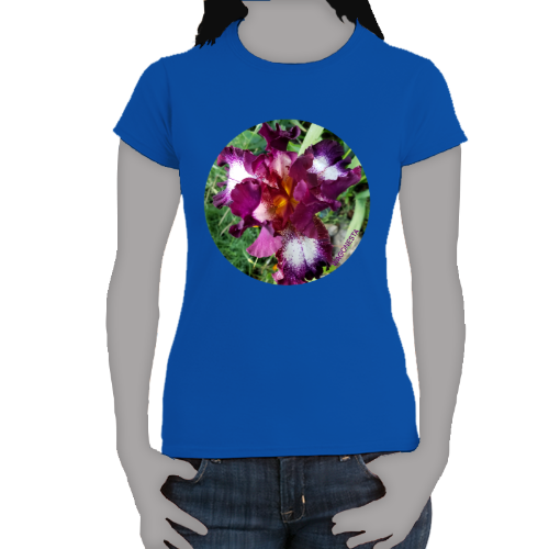 Variegated Iris- Women's Softstyle Tee - Gildan+ Mug 'n Tee