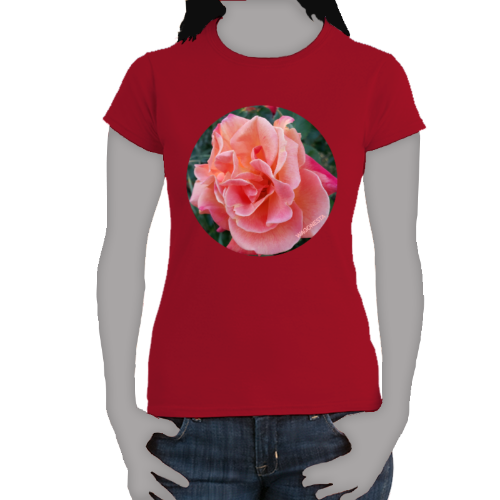 Peach Rose - Women's Softstyle Tee - Gildan- Mug 'n Tee