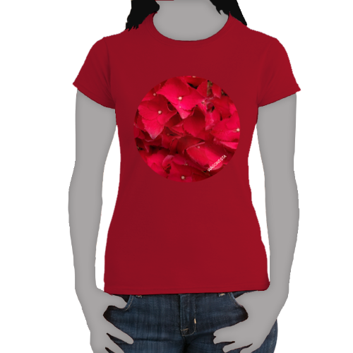 Red Hydrangea- Women's Softstyle Tee - Gildan - Mug 'n Tee