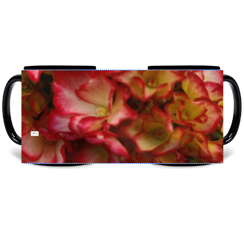 11 oz Black Mug - Wagonesta - Rose Color Hydrangea