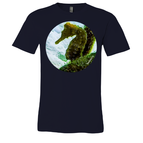 Seahorse - Unisex Jersey Short Sleeve Tee - Bella+Canvas + Mug 'n Tee