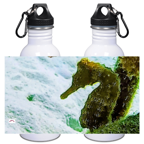 20 oz SS Water Bottle Stainless Steel - Wagonesta - Seahorse