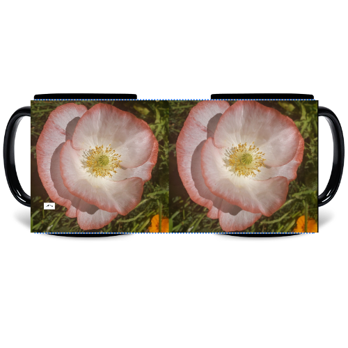 11 oz Black Mug - Wagonesta - Double Poppies