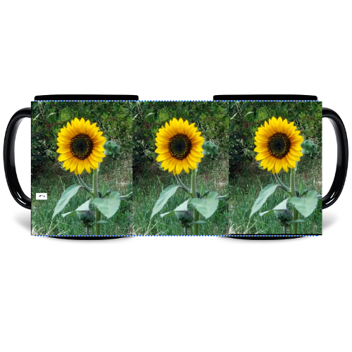 11 oz Black Mug - Wagonesta -Sunflower