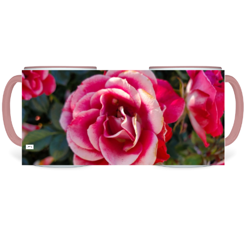 11 oz. Two-Tone Mug (Pink) - Wagonesta - Two Tone Roses