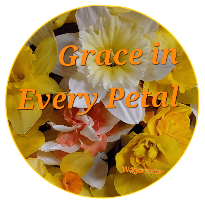 FAITH - GRACE IN EVERY PETAL - Unisex Fitted T-Shirt