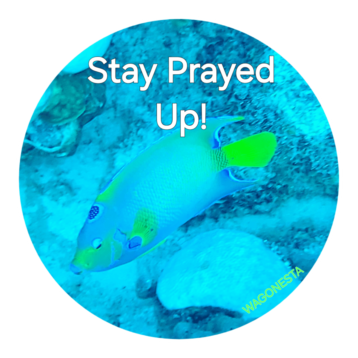 FAITH - STAY PRAYED UP  - Women's 100% Cotton Short Sleeve Tee