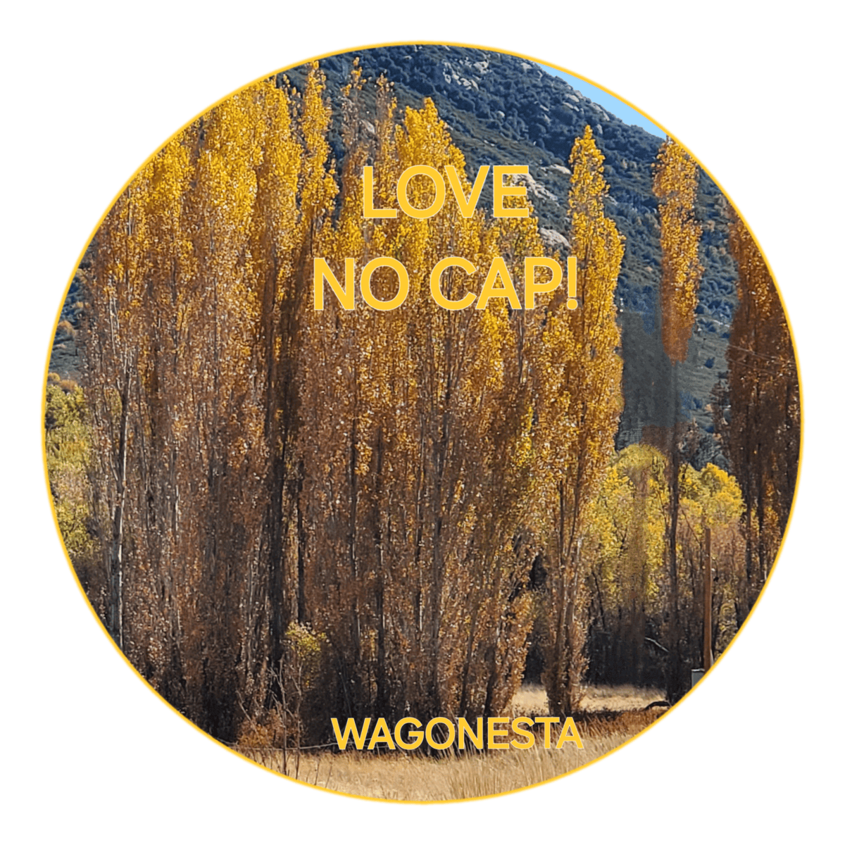 FAITH - LOVE, NO CAP! - Women's 100% Cotton Short Sleeve Tee