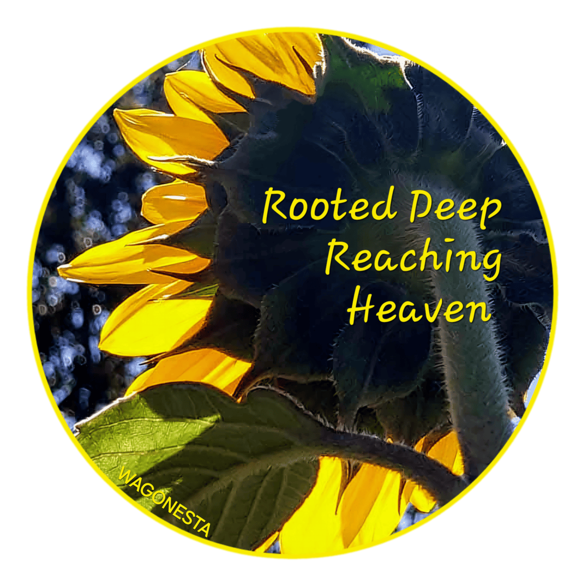 FAITH  - ROOTED DEEP- REACHING HEAVEN Unisex t-shirt