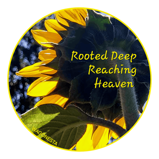 FAITH  - ROOTED DEEP- REACHING HEAVEN Unisex t-shirt