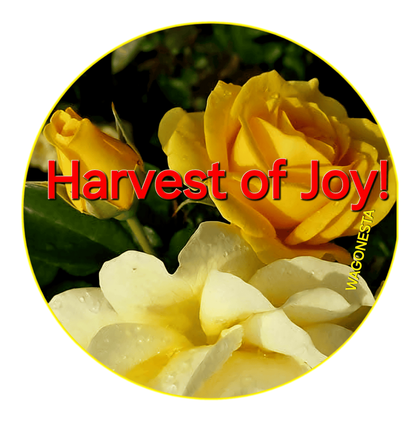 FAITH -HARVEST OF JOY -  Unisex Fitted T-Shirt - Next Level 6210