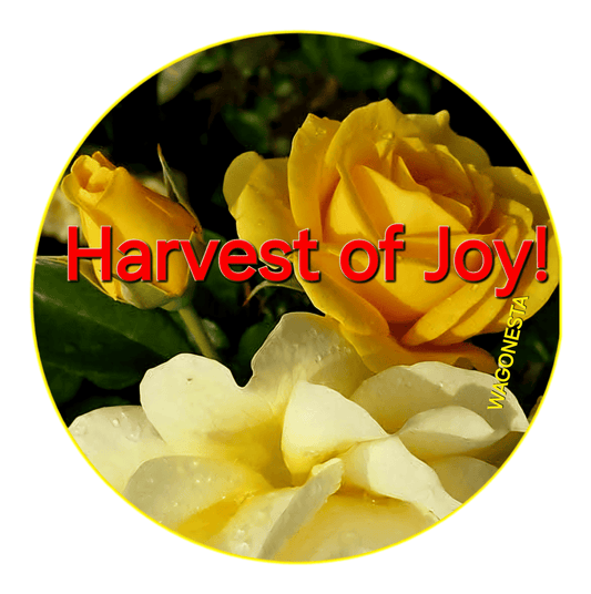 FAITH -HARVEST OF JOY -  Unisex Fitted T-Shirt - Next Level 6210