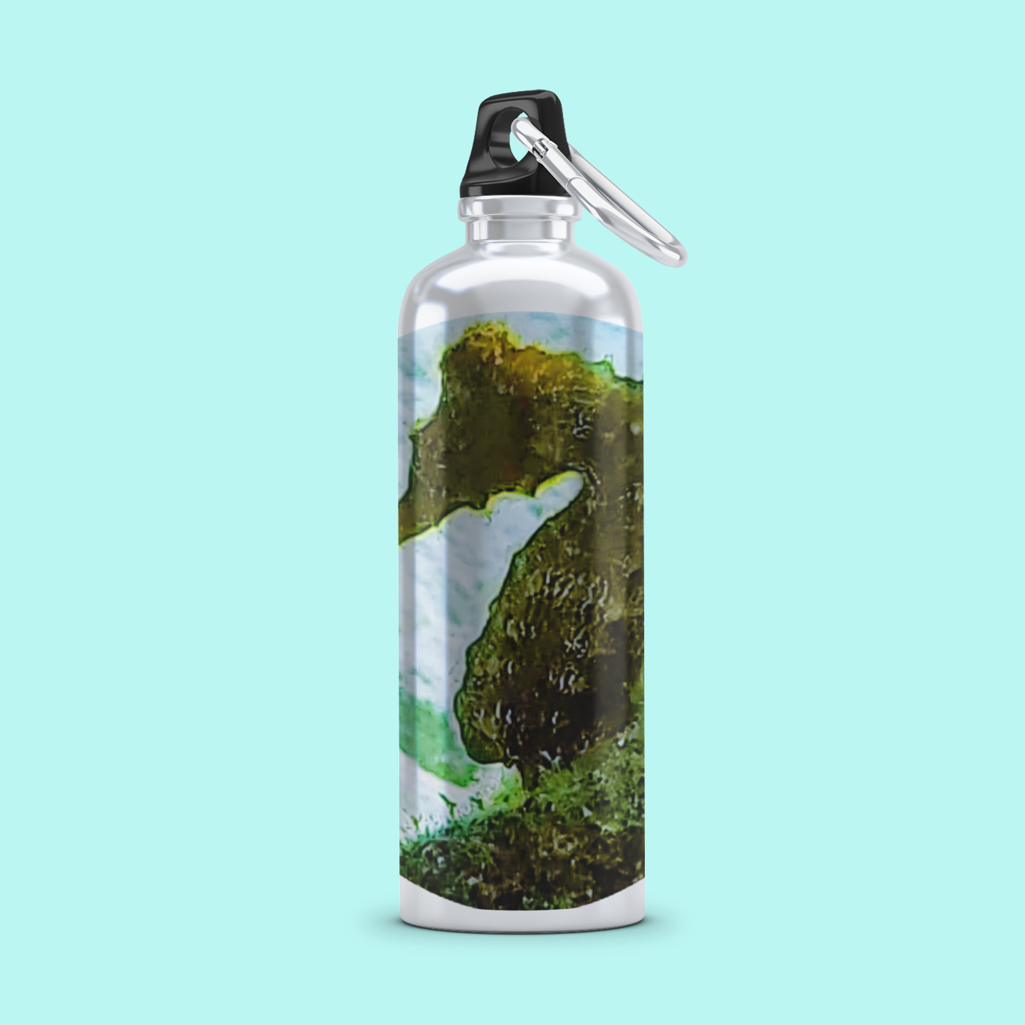 20 oz SS Water Bottle Stainless Steel  - Wagonesta - Seahorse