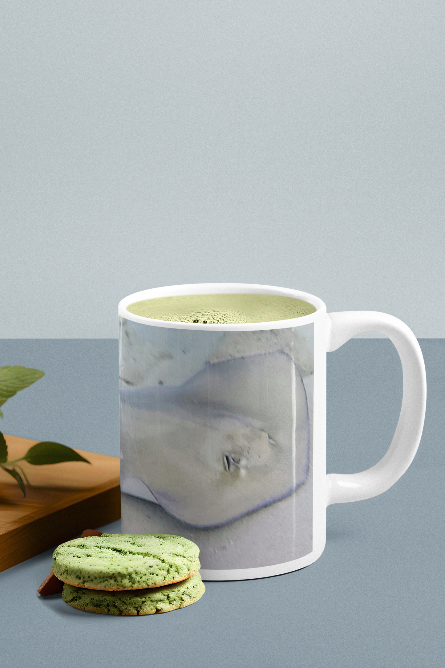 11 oz Ceramic Mug - Wagonesta - Ray