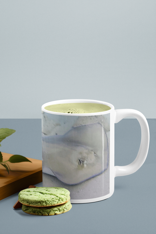 11 oz Ceramic Mug - Wagonesta - Ray