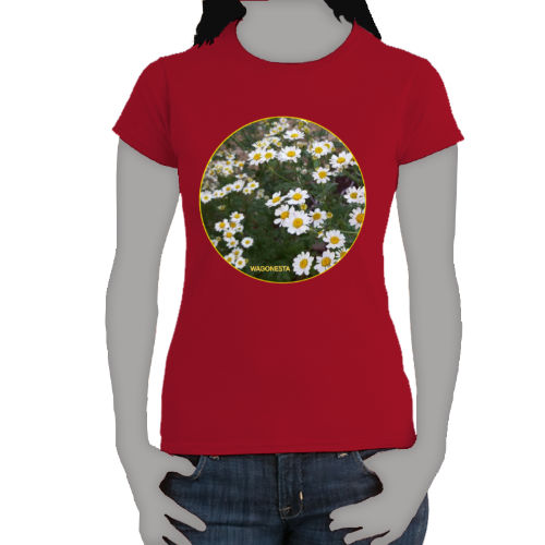 Bunch of Daisies- Women's Softstyle Tee - Gildan - Mug 'n Tee