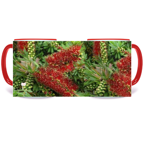 11 oz. Two-Tone Mug (Red) - Wagonesta - Gold Tipped Bottlebrush