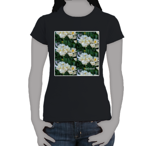 Tiny Daffodils- Women's Softstyle Tee - Gildan + Mug 'n Tee