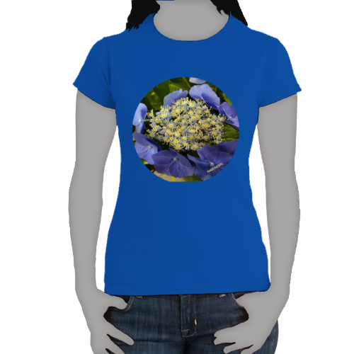 Periwinkle Macrophylia Hydrangea- Women's Softstyle Tee - Gildan + Mug 'n Tee