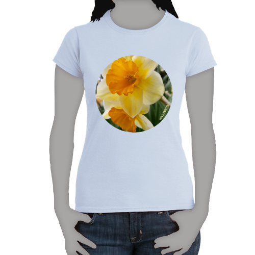 Orange and Yellow Daffodils- Women's Softstyle Tee - Gildan+ Mug 'n Tee