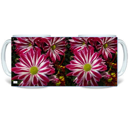 11 oz Ceramic Mug - Wagonesta - Striped Flowers