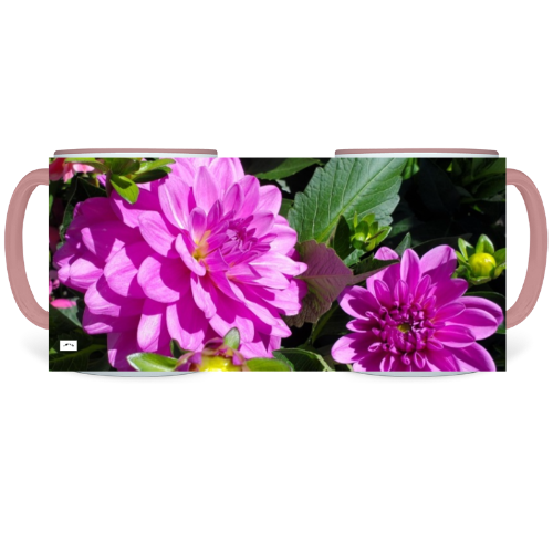 11 oz. Two-Tone Mug (Pink) - Wagonesta -Dahlias