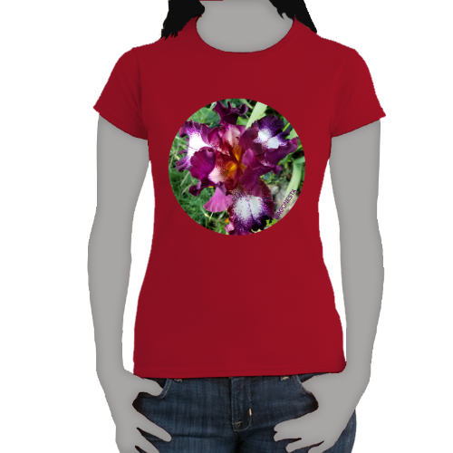 Variegated  Iris- Women's Softstyle Tee - Gildan+ Mug 'n Tee