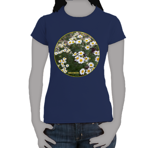 Daisies - Women's Softstyle Tee - Gildan + Mug 'n Tee