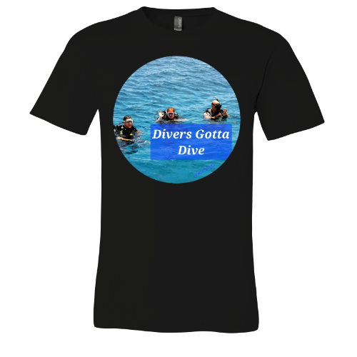 Divers gotta Dive - Unisex Jersey Short Sleeve Tee - Bella+Canvas+Mug 'n Tee