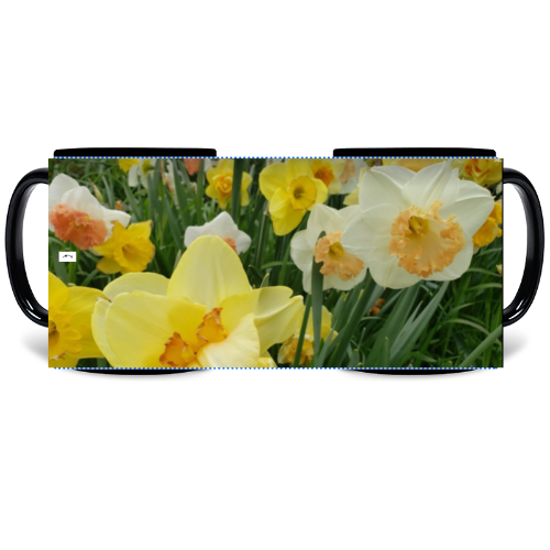 11 oz Black Mug - Wagonesta- Field of Daffodils