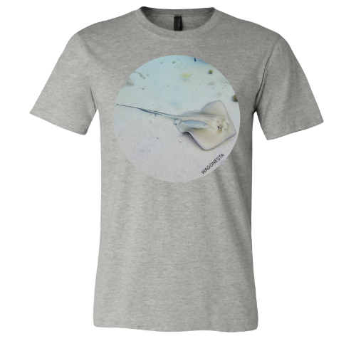 Sting Ray Under the Sea- Unisex Jersey Short Sleeve Tee - Bella+Canvas+Mug '''n Tee