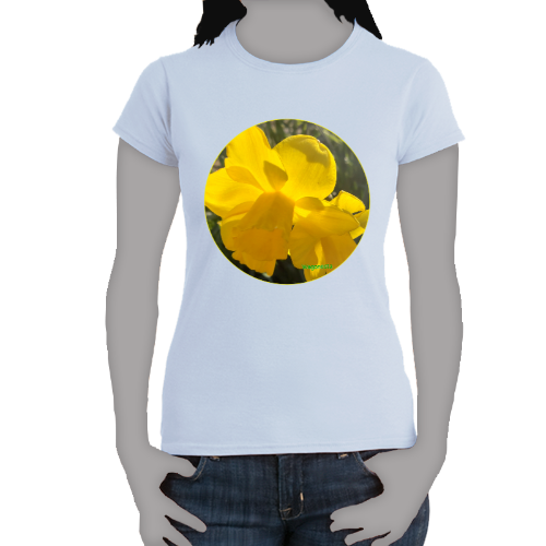 Large Yellow Daffodils- Women's Softstyle Tee - Gildan +Mug 'n Tee