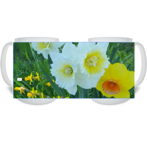 15 oz Ceramic Mug - Wagonesta - Daffodils in the Field