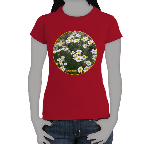 Daisies - Women's Softstyle Tee - Gildan + Mug 'n Tee