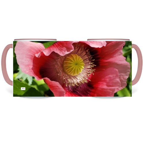 11 oz. Two-Tone Mug (Pink) - Wagonesta  - Oriental Poppy