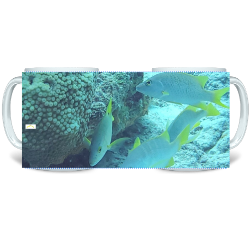 11 oz Ceramic Mug - Wagonesta - The Magic Underwater