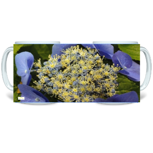 11 oz Ceramic Mug - Wagonesta- Periwinkle Macrophylia Hydrangea