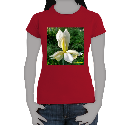 White Iris - Women's Softstyle Tee - Gildan - Mug 'n Tee