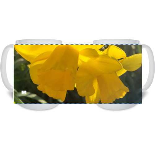 15 oz Ceramic Mug - Wagonesta- Bright Yellow Daffodils