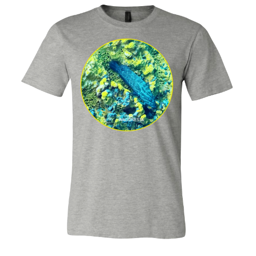 Fish on Coral - Unisex Jersey Short Sleeve Tee - Bella+Canvas+ Mug 'n Tee